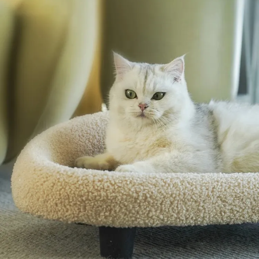 Canapé-lit en sisal pour chats