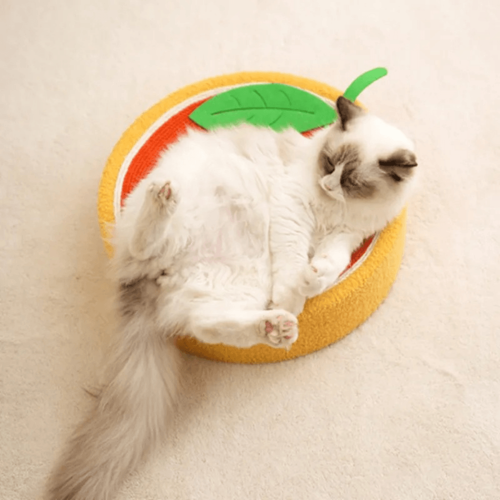 Lit Griffoir pour Chats