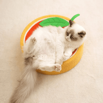 Lit Griffoir pour Chats