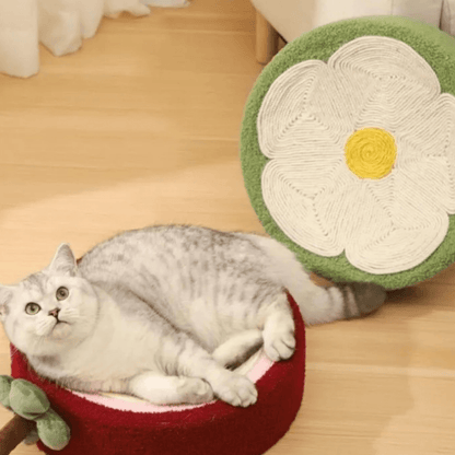 Lit Griffoir pour Chats
