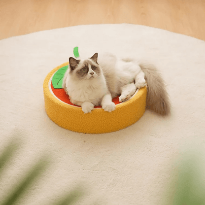 Lit Griffoir pour Chats