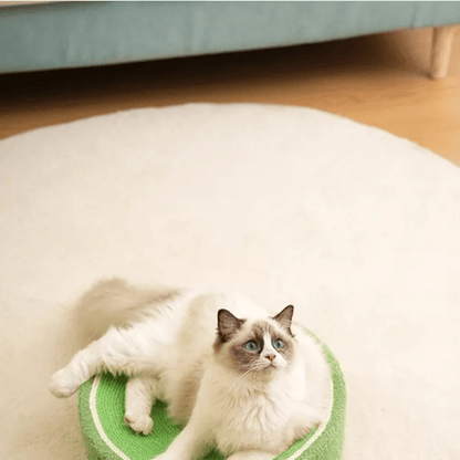 Lit Griffoir pour Chats