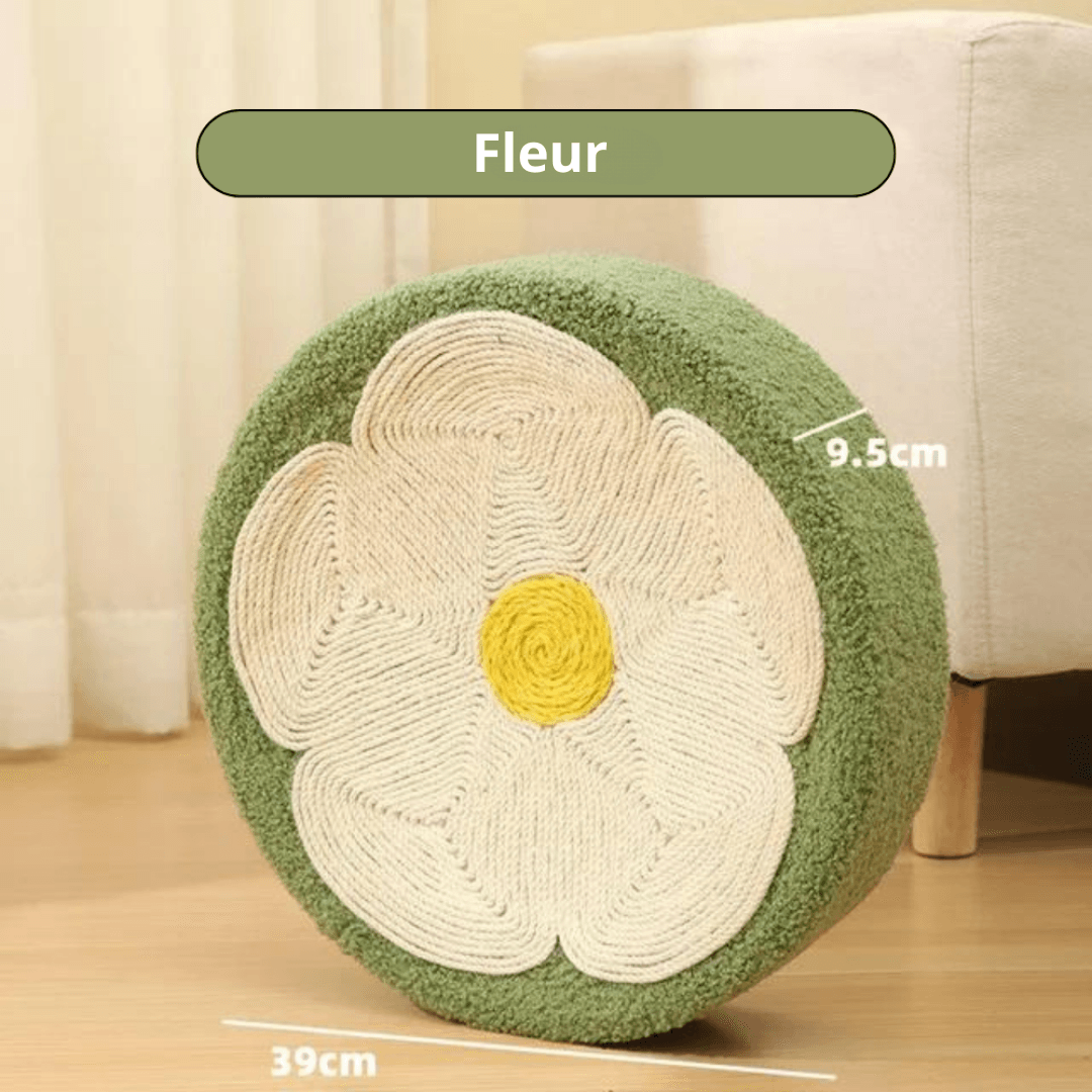 Lit Griffoir pour Chats