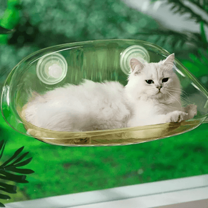 Cama Colgante Moderna para Gatos