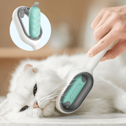 Brosse multifonction avec réservoir d'eau pour animaux de compagnie