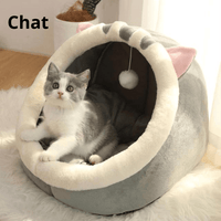Chat