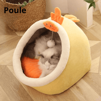 Poule
